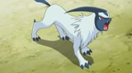 Absol has never seen an evolution outside of its Mega (Image via The Pokemon Company)